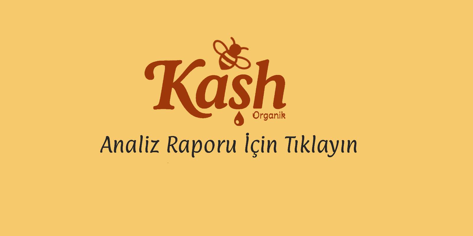 bal analiz raporu